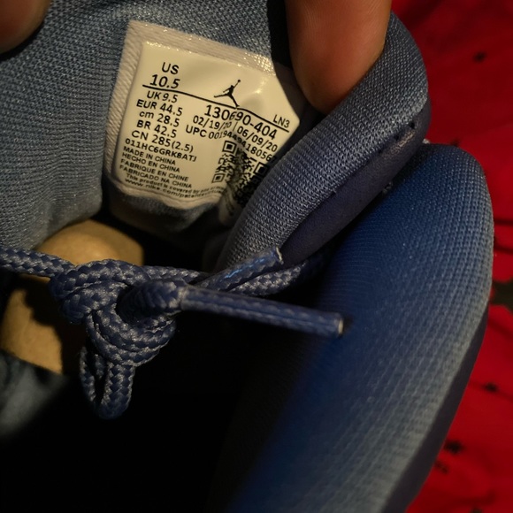 Air Jordan 12s Indigo